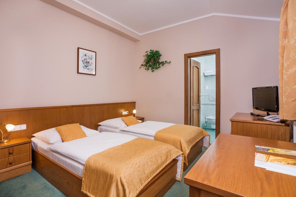 Hotel Jelínkova vila Velké Meziříčí Quarto foto